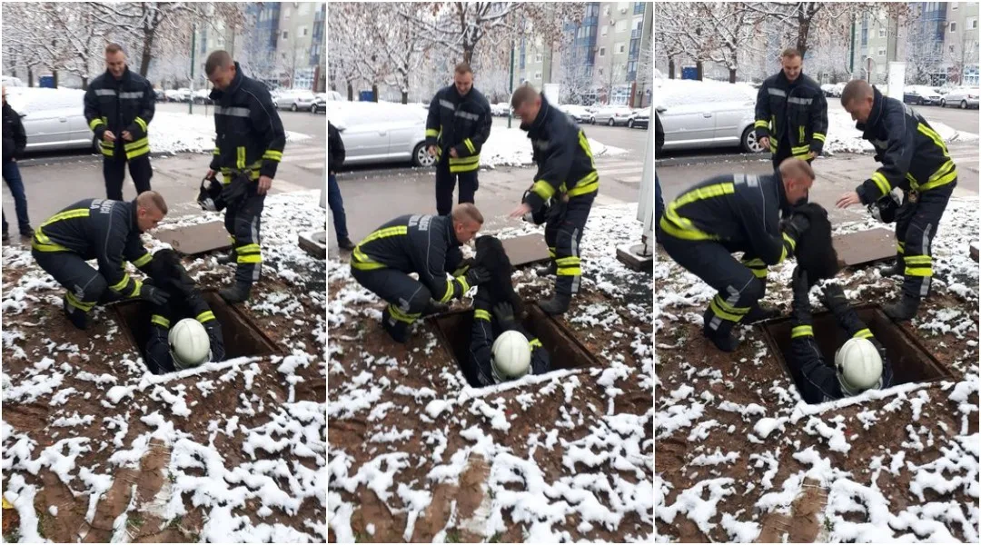 Lijep gest: Tuzlanski vatrogasci spasili psa iz šahta