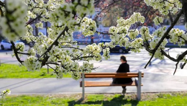 Sunce ili kiša, evo kakvo nas vrijeme čeka tokom praznika