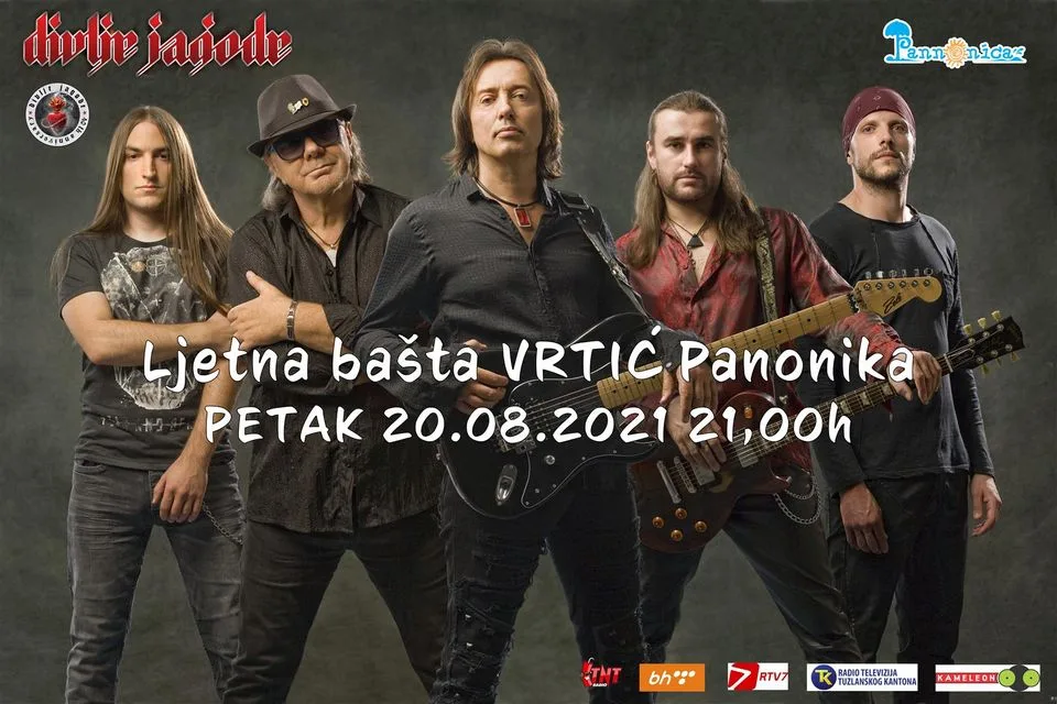 Divlje jagode u Tuzli