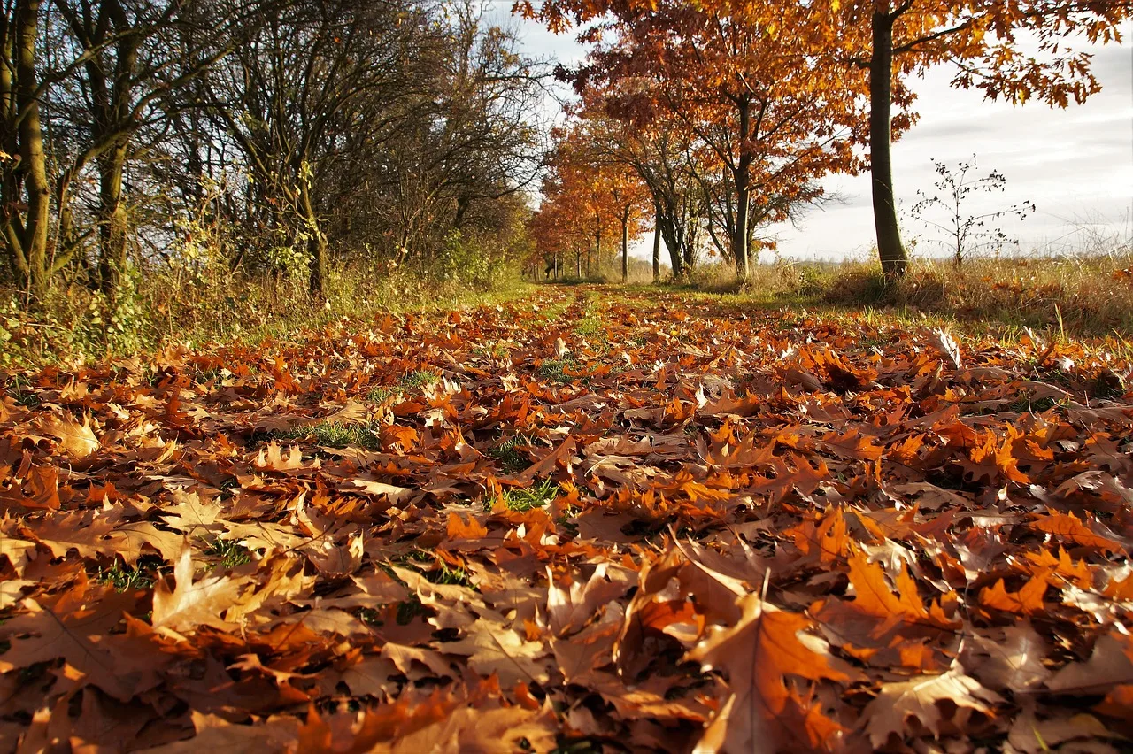 Stigla je prognoza do kraja novembra