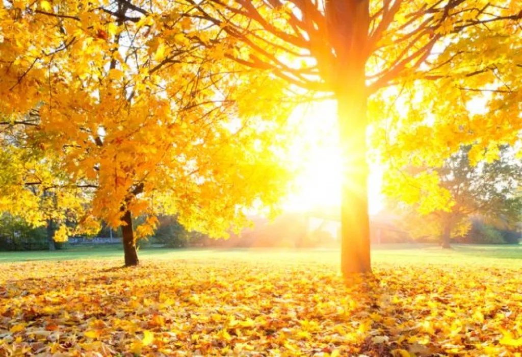 U BiH i danas sunce – uživajte u lijepom vremenu: Meteorolozi objavili kad stiže kiša