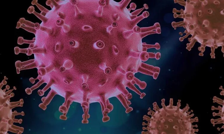FBiH -Od 820 testiranih uzoraka koronavirus potvrđen kod 84, tri osobe preminule
