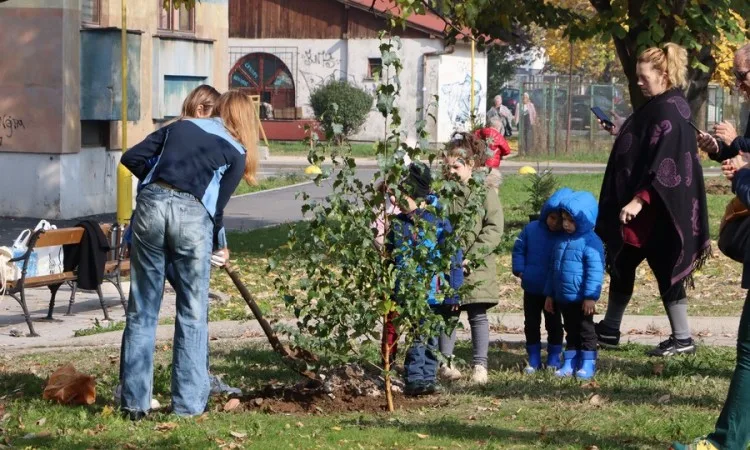 Akcija sadnje stabala ‘Drvo za prijatelja – drvo za Angelinu’