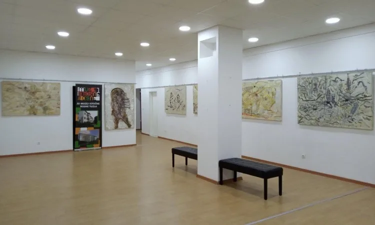 Muzej istočne Bosne u Tuzli s oko 30 hiljada eksponata čuvar bh. kulturne baštine