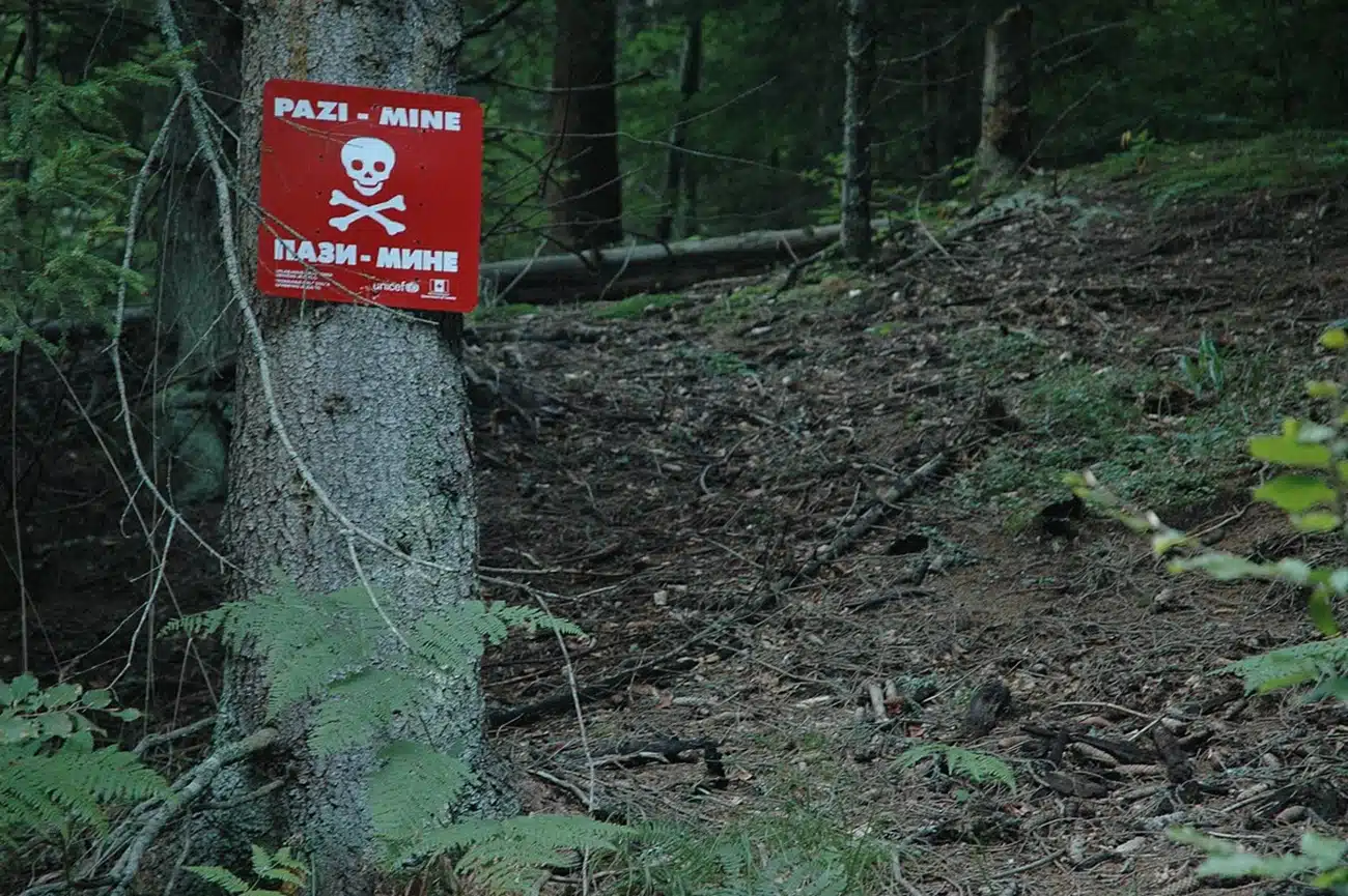 Izvršena primopredaja očišćenog terena na lokaciji Zečija kosa