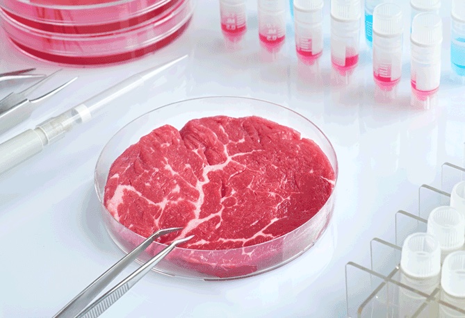 Lab-Grown Meat: What You Need to Know Before Lighting Up The Grill