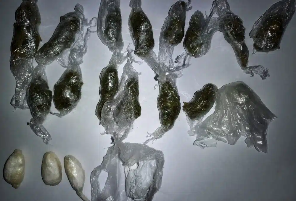 U pretresu kuće kod 60-godišnjeg Tuzlaka pronađena droga