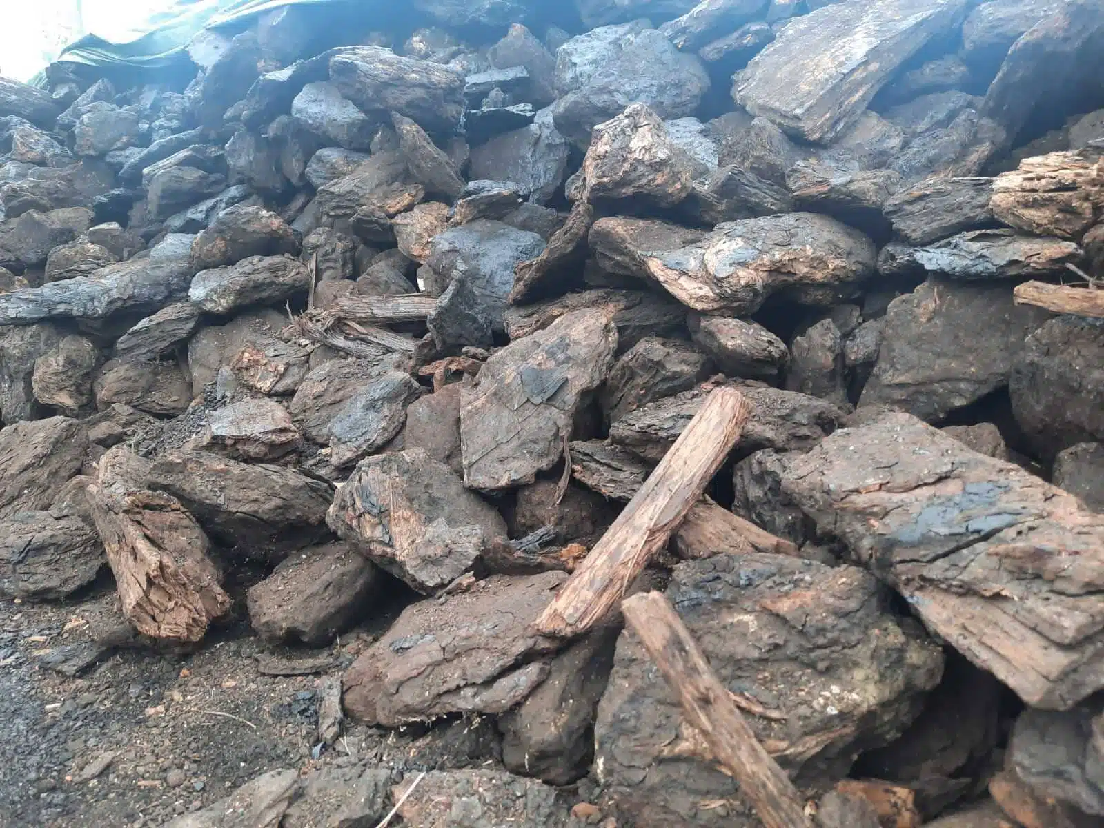 Stotine penzionera u TK čeka isporuku uglja