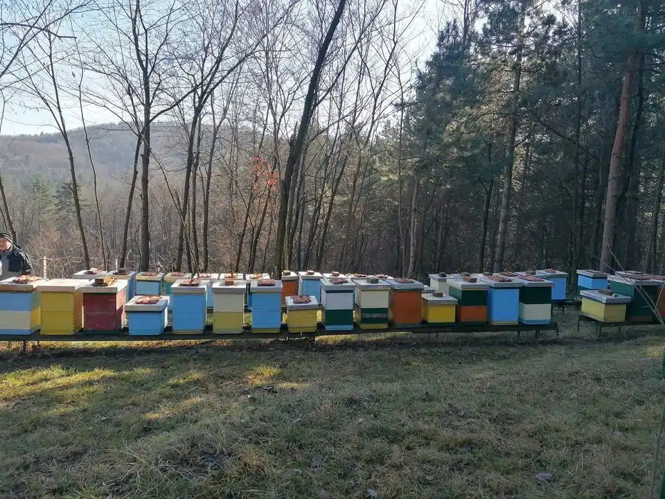 Rudine-značajan prirodni resurs