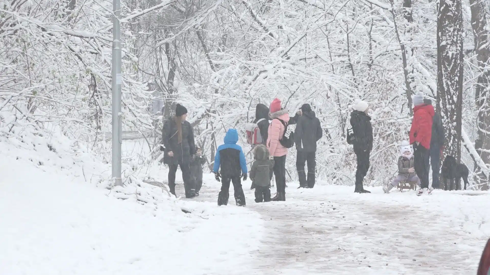(VIDEO) Šetnja i druženje uz čaj na izletištu Ilinčica | .