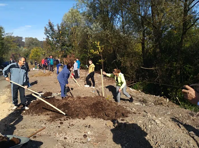U MZ Miričina očišćena divlja deponija i posađen drvored