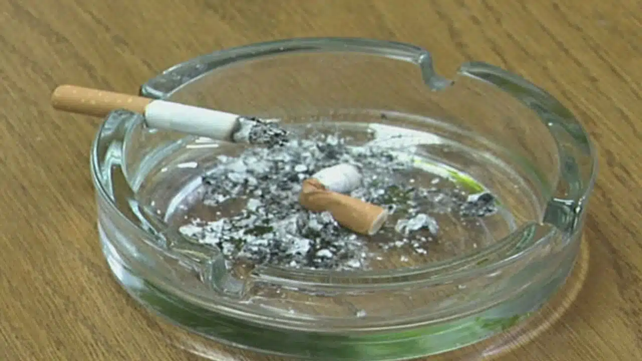 Svjetski dan bez cigarete