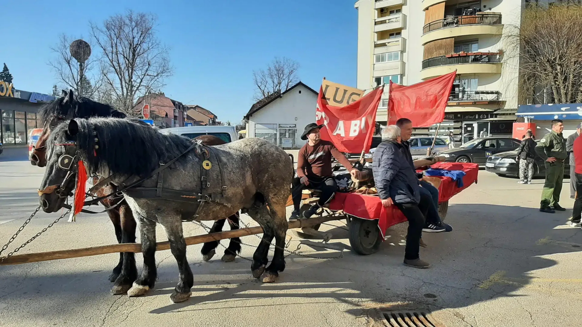 Poklade u Živinicama |
