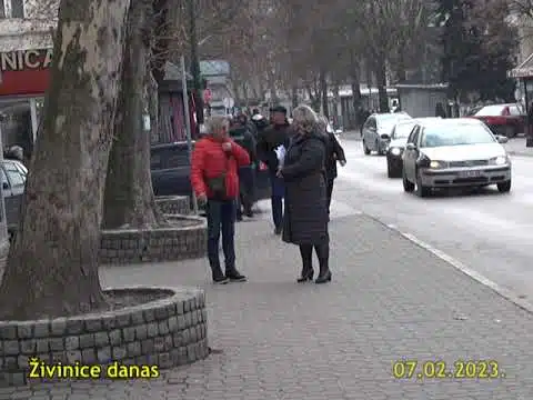 ŽIVINICE DANAS 07.02.2023. | RTV Živinice