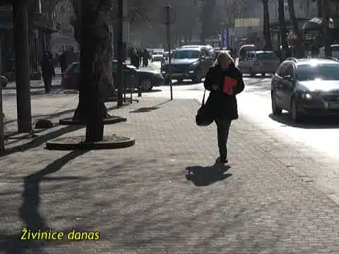 ŽIVINICE DANAS 09.02.2023. | RTV Živinice