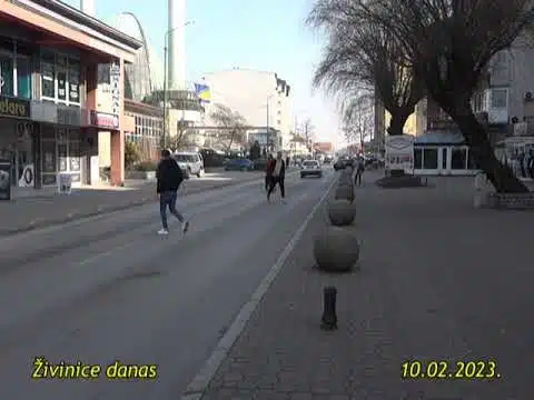 ŽIVINICE DANAS 10.02.2023. | RTV Živinice