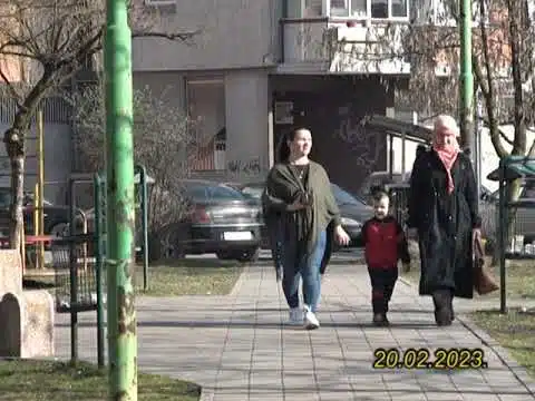 ŽIVINICE DANAS 20.02.2023. |