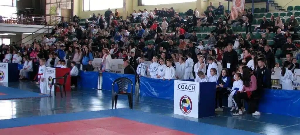 Živinice domaćin 2.kola Regionalne karate lige