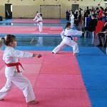 živinice domaćin 2.kola regionalne karate lige