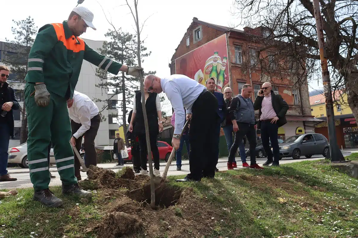 Grad Tuzla započeo proljetnu akciju sadnje drveća i ukrasnog grmlja