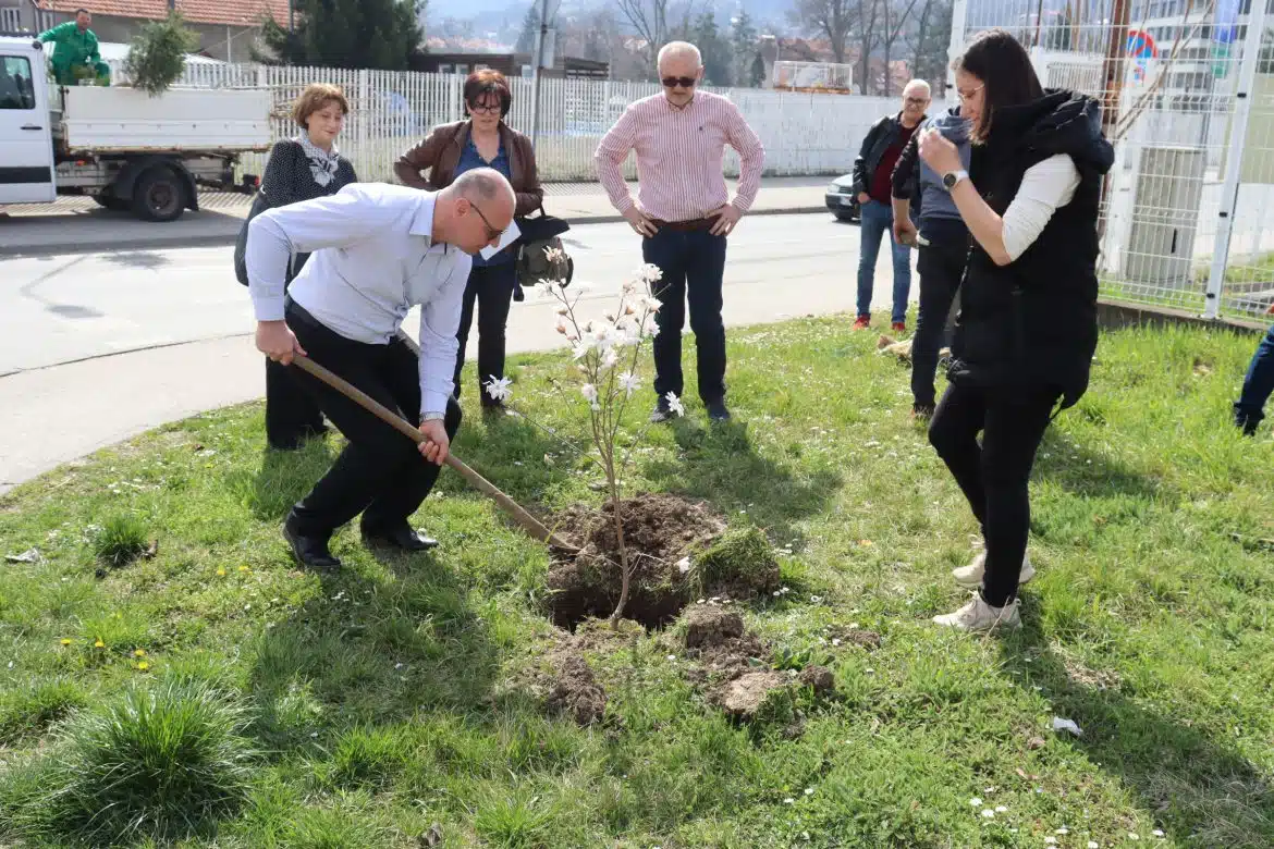 Proljetno uređenje grada: Na deset lokacija u Tuzli bit će zasađeno 200 sadnica drveća i grmlja |