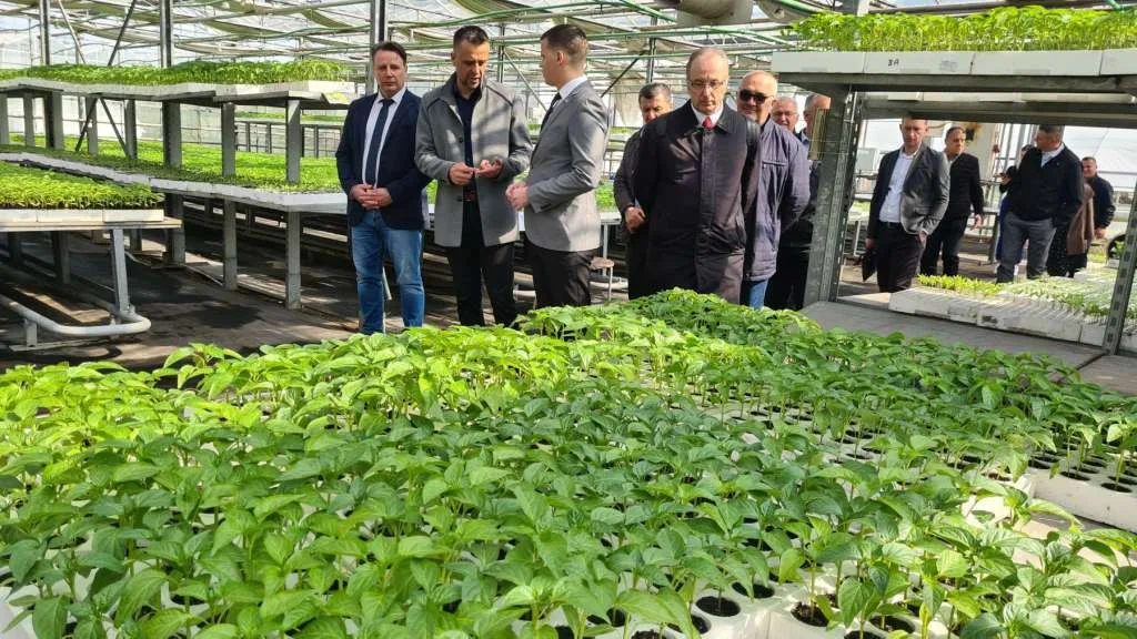Počela distribucija milion komada sadnog materijala povrća u TK |