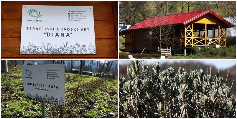 (VIDEO) Hortikulturalna terapija – Rehabilitacijski vrt „Diana“ u Tuzli |