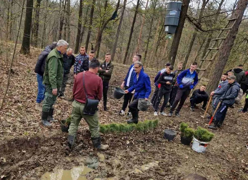 MSŠ:Uspjela akcija pošumljavanja Priluka i Omazića