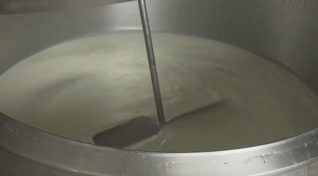 Proizvođači mlijeka ne pristaju na manju otkupnu cijenu (VIDEO) |
