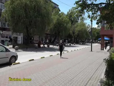 ŽIVINICE DANAS 23.05.2023. |