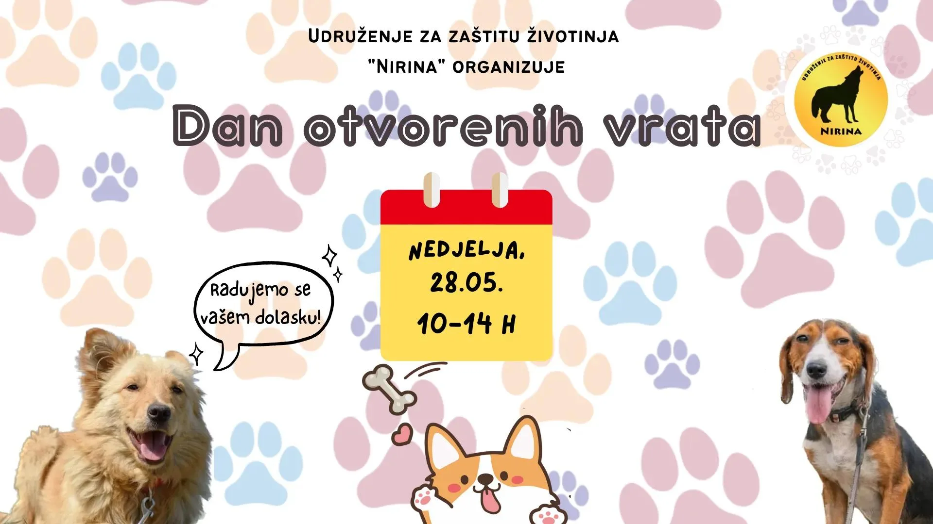 (VIDEO) “Nirina”: Poziv građanima na “Dan otvorenih vrata” u tuzlanskom azilu za pse |