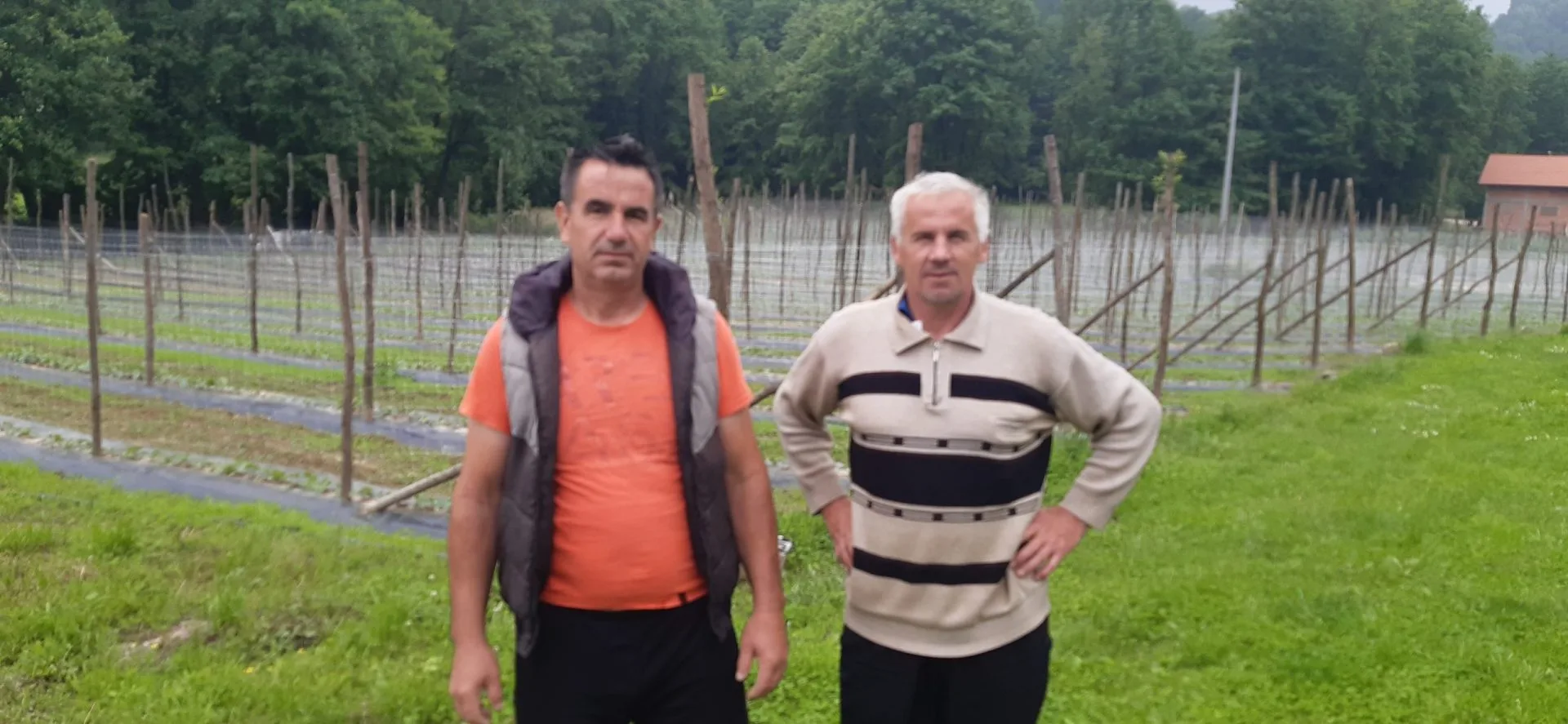 Jasmin Selimović najveći proizvođač kornišona u Bosni i Hercegovini
