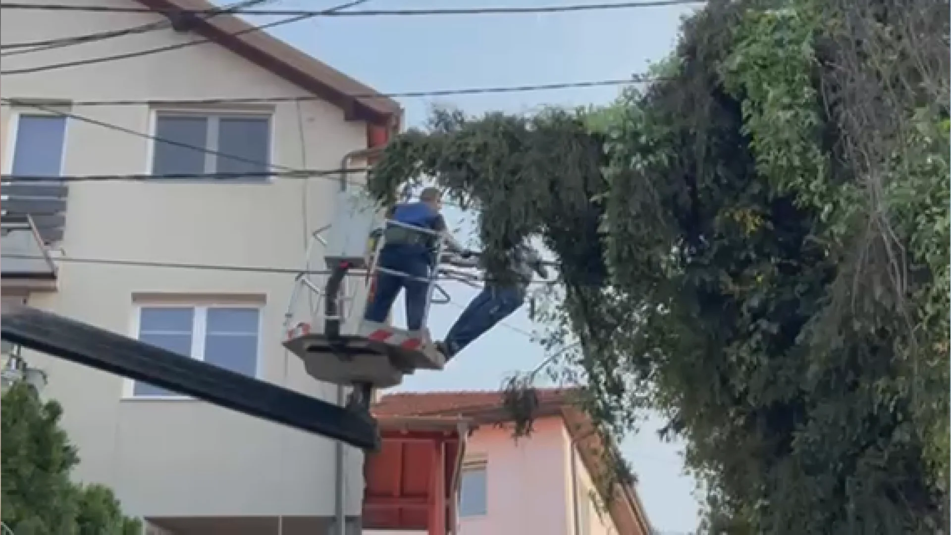 (Video) Pripadnici JKP Komunalac i elektrodistrubucije na terenu: Bor pao na dalekovod, naselje Kaldrma bez struje