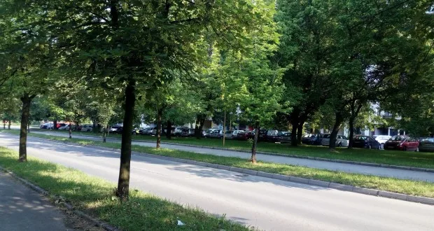 Grad Tuzla oformio radni tim za kontrolu i procjenu stanja drveća u gradu Tuzli