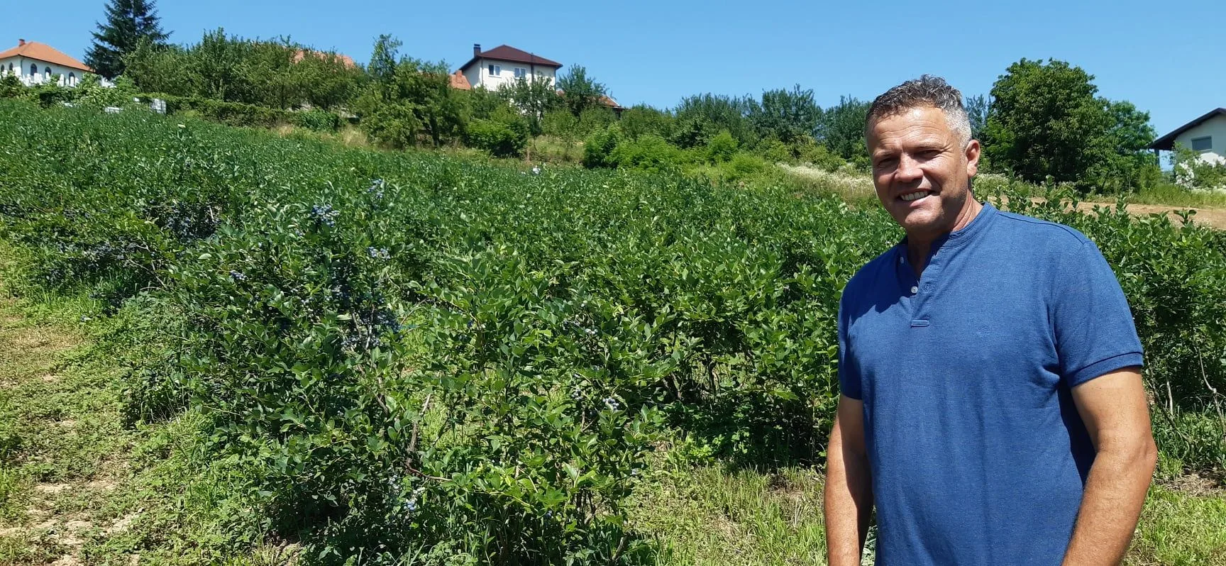 Teufik Butković – uzgajivač borovnica vrhunske kvalitete