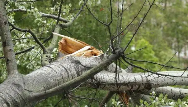 Upozorenje na opasne meteorološke pojave u Tuzli