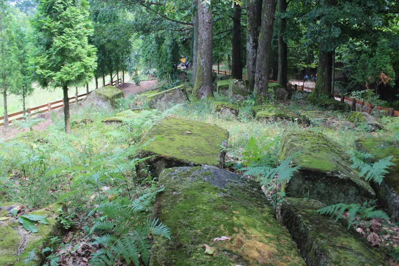 Počeli radovi na uređenju nekropole stećaka na lokalitetu “Sječa”