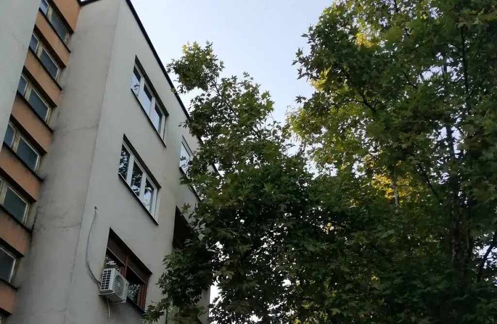 Visoke grane prijete zgradama