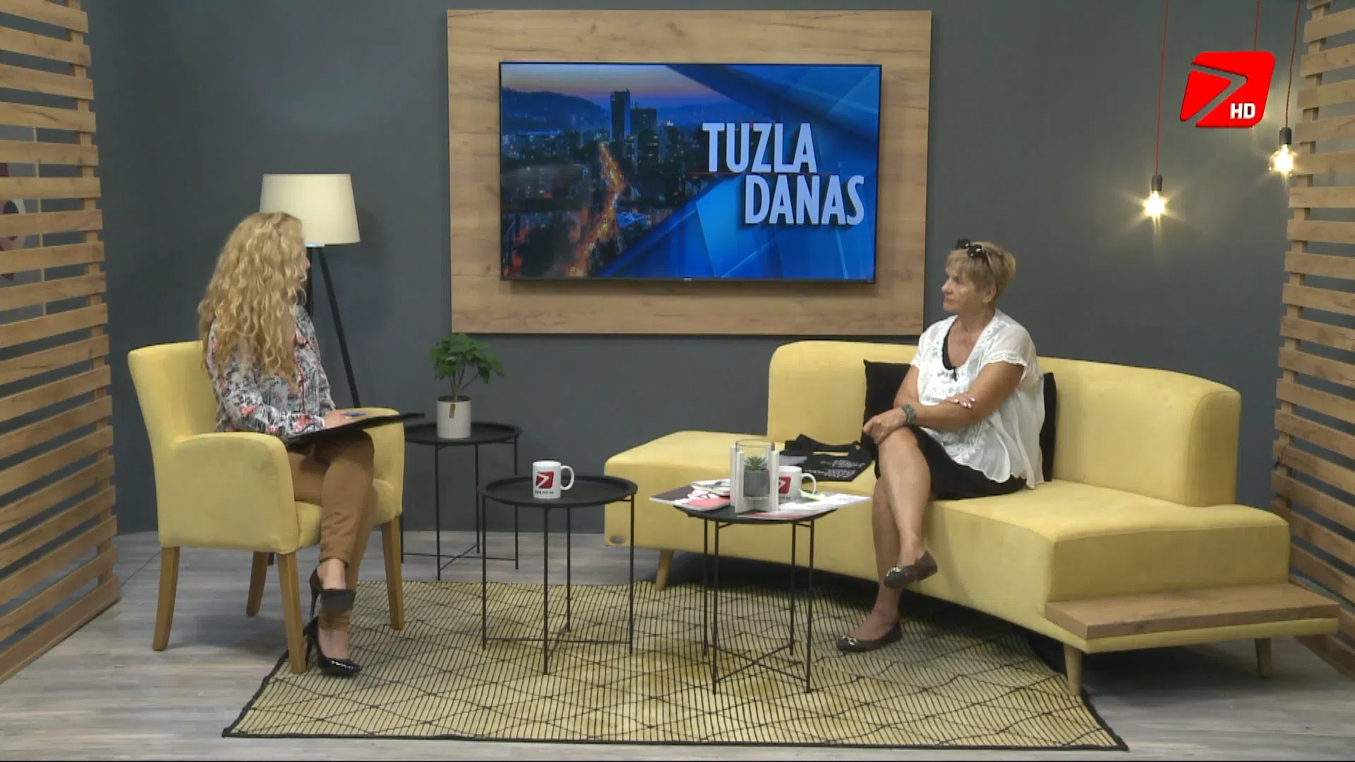 (VIDEO) Mira Vilušić: “U slučajevima nasilja u porodici počinilac uglavnom ostaje anoniman, a žrtva izložena”