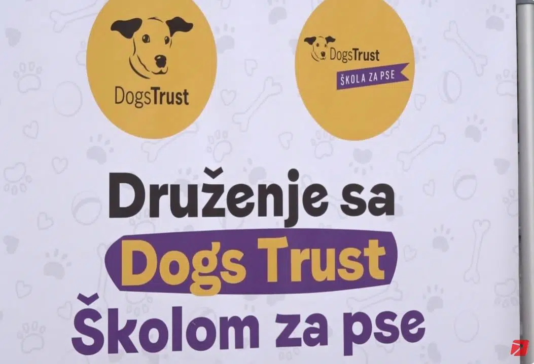 (Video) Fondacija Dogs Trust priprema besplatnu obuku za pse i njihove vlasnike