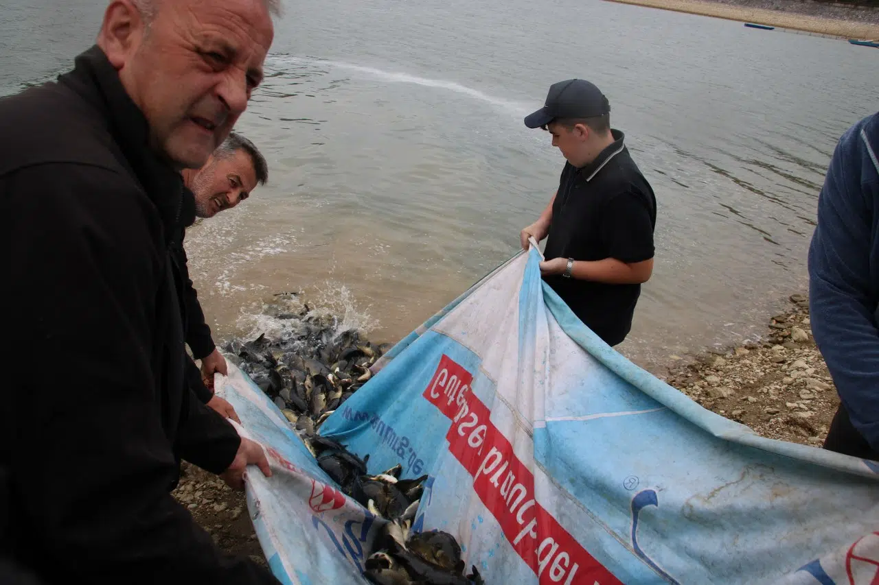 Jezero Sniježnica bogatije za oko 1 725 kilograma razne vrste ribe (FOTO)