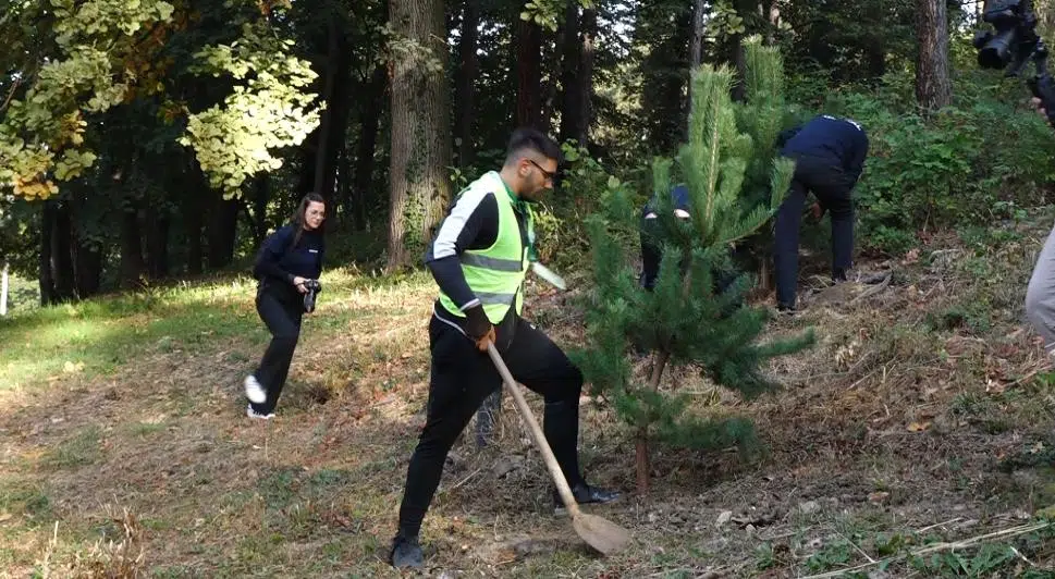 (VIDEO) Let's Do It: U Tuzli održana akcija pošumljavanja
