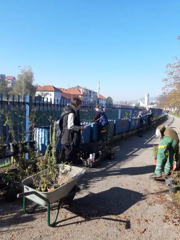 U Tuzli počelo uređenje žardinijera i sadnja ukrasnog bilja