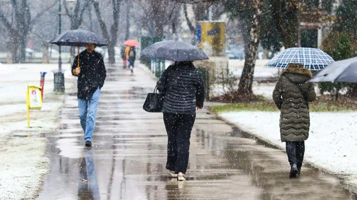 Servisne informacije za 21.11.2023. |