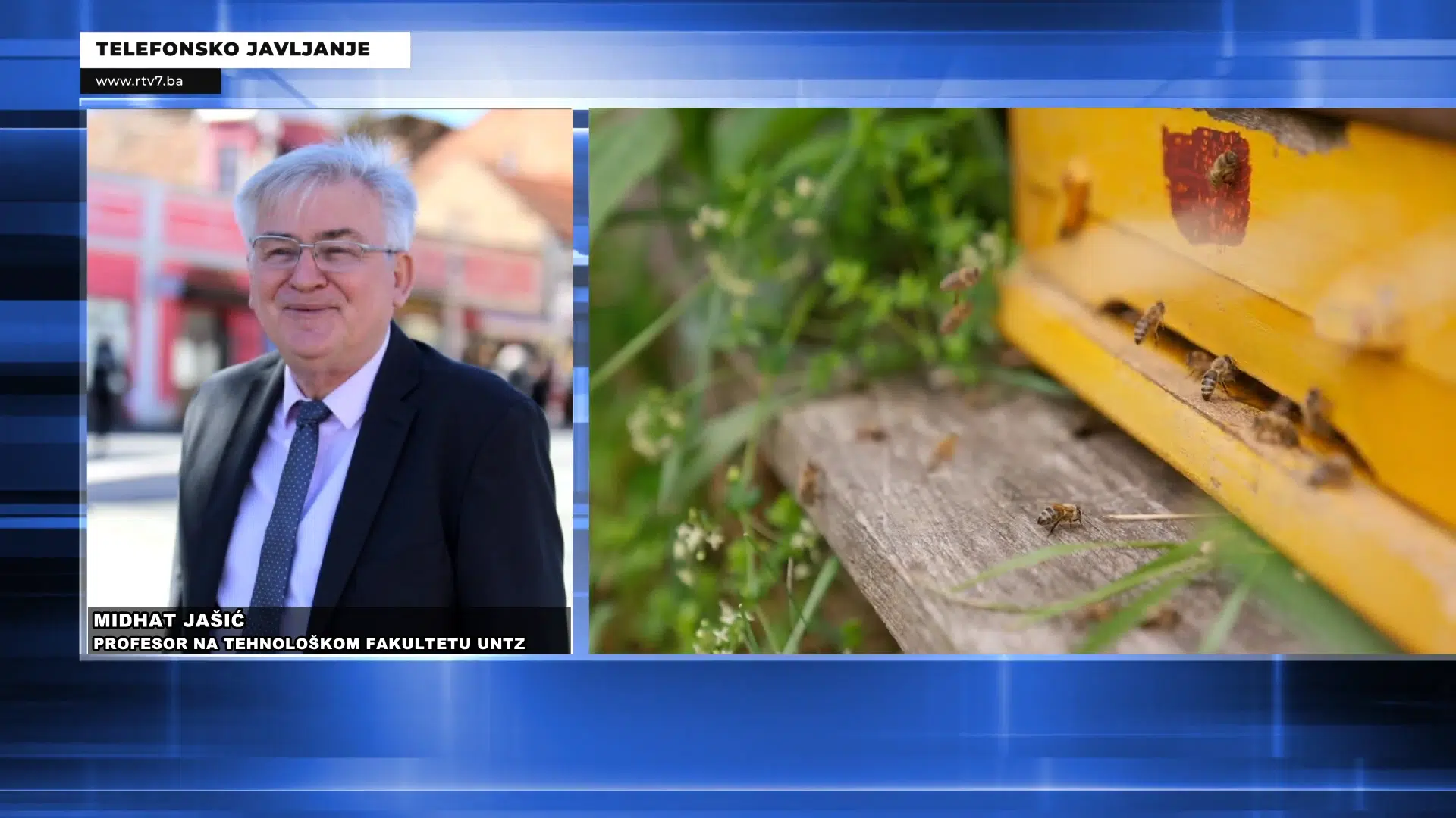 (VIDEO) Prof. Jašić o 8. Međunarodnom kongresu o pčelarstvu i pčelinjim proizvodima