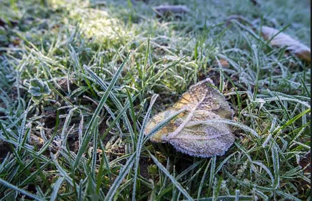 Servisne informacije za srijedu 31. januar
