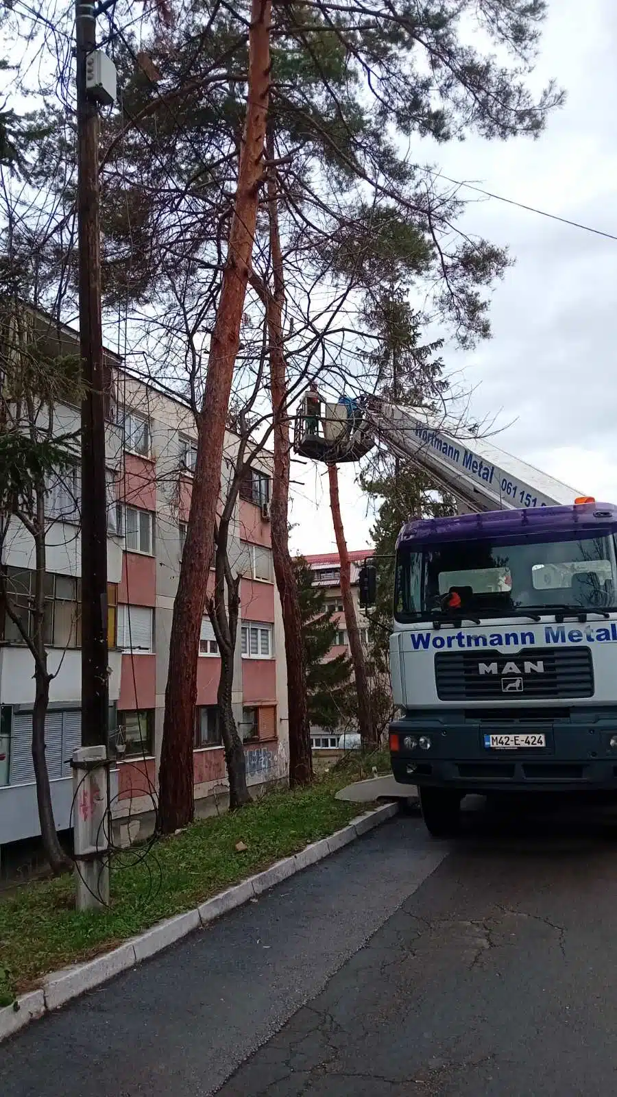 Nastavak aktivnosti na uklanjanju starih i dotrajalih stabala i planiranje sadnje novih zasada