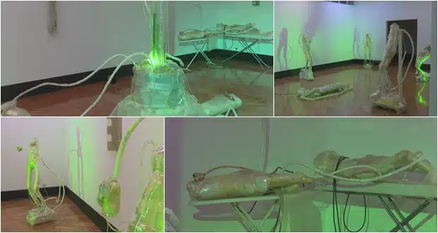 (Video) U Tuzli otvorena izložba “Andrej meets a flower” autora Amela Hodžića