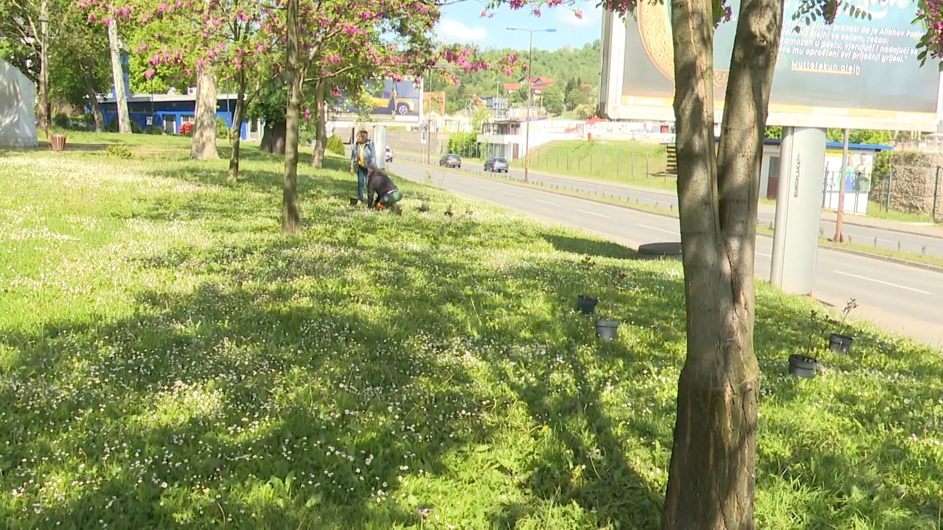 (Video) Grad Tuzla: Na Dan planete zemlje nove sadnice u parku