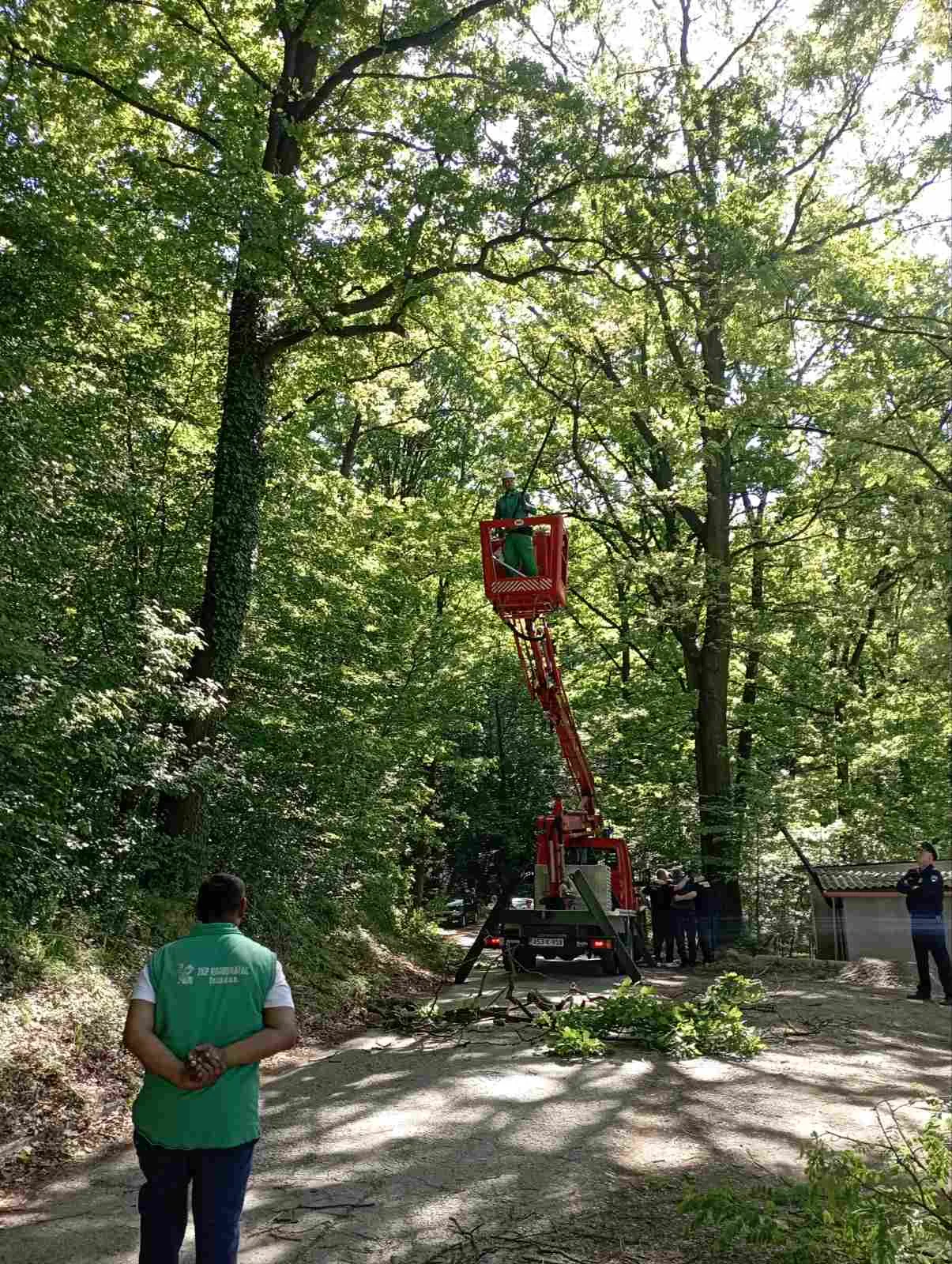 Više od 400 građanki i građana prisustvuje velikoj proljetnoj akciji čišćenja obale jezera Modrac